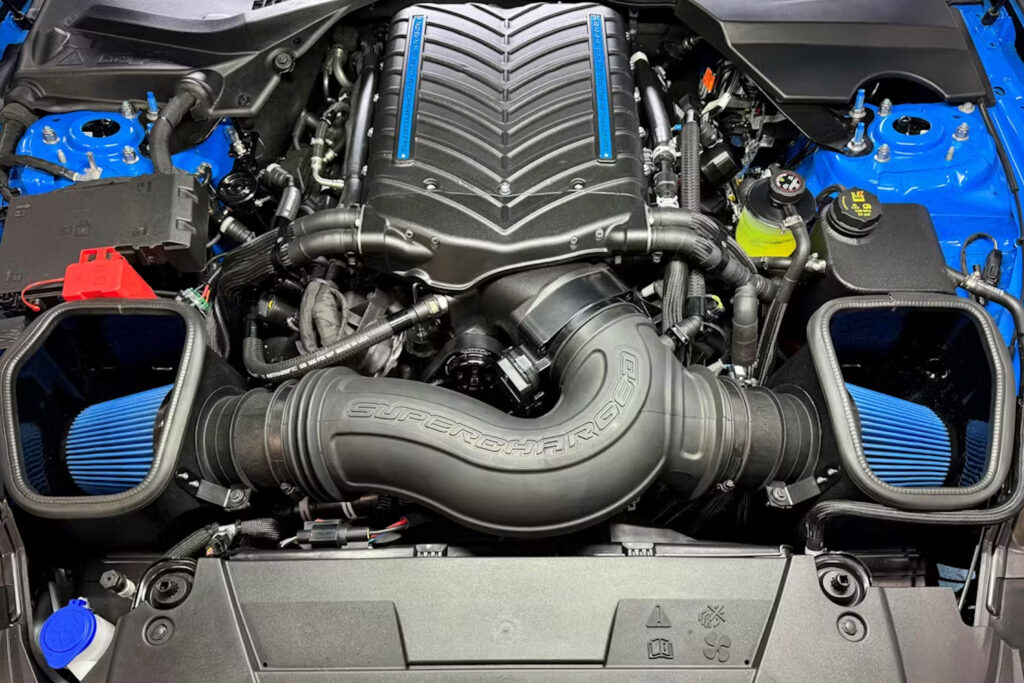 Evolution Performance 8-Second Dark Horse