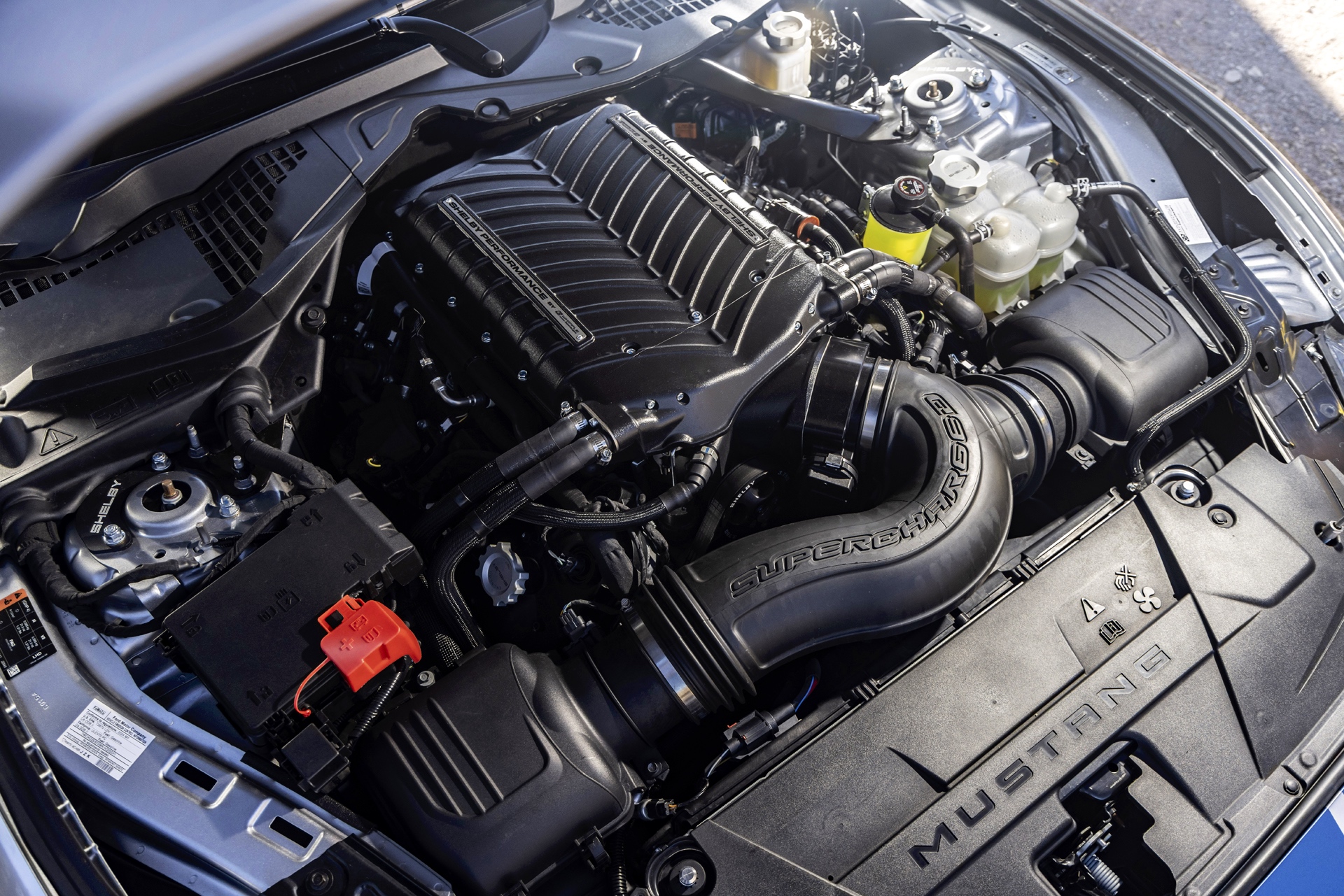 Shelby's Super Snake Continues In 2026 With An 830HP Bite