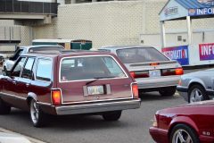 foxtoberfest-2025-attracted-nearly-900-foxes-and-we-picked-10-favs-www.fordmuscle.com-112-scaled-www.fordmuscle.com