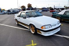 foxtoberfest-2025-attracted-nearly-900-foxes-and-we-picked-10-favs-www.fordmuscle.com-37-scaled-www.fordmuscle.com