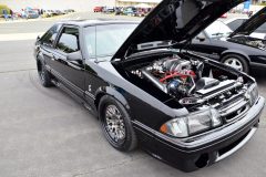 foxtoberfest-2025-attracted-nearly-900-foxes-and-we-picked-10-favs-www.fordmuscle.com-47-scaled-www.fordmuscle.com