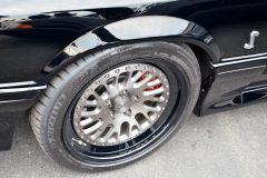 foxtoberfest-2025-attracted-nearly-900-foxes-and-we-picked-10-favs-www.fordmuscle.com-60-scaled-www.fordmuscle.com