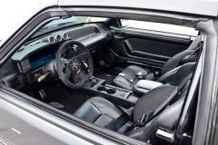 foxtoberfest-2025-attracted-nearly-900-foxes-and-we-picked-10-favs-www.fordmuscle.com-62-scaled-www.fordmuscle.com