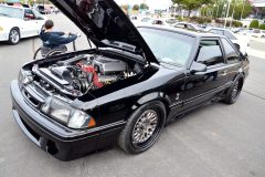 foxtoberfest-2025-attracted-nearly-900-foxes-and-we-picked-10-favs-www.fordmuscle.com-64-scaled-www.fordmuscle.com