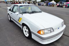 foxtoberfest-2025-attracted-nearly-900-foxes-and-we-picked-10-favs-www.fordmuscle.com-66-scaled-www.fordmuscle.com