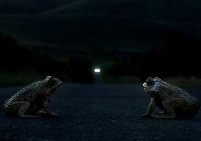 Video: Ford Australia Kills Frogs For EcoBoost Ad
