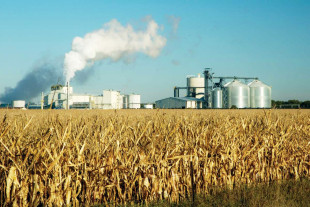 States Push Back Against Ethanol Rule in Renewable Fuel Standard