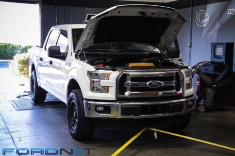 Installing Performance Coils Yields Easy Gains On An EcoBoost F-150