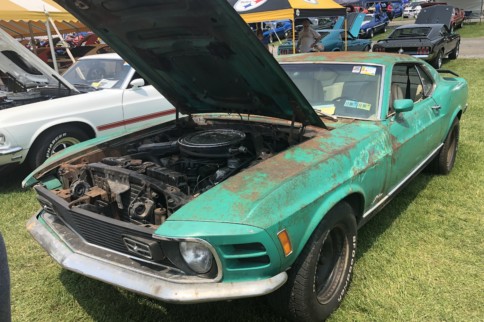 Top Dogs! Our Top 10 Picks from the 2019 Carlisle Ford Nationals