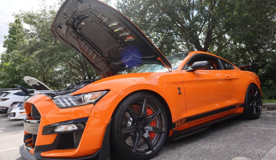 Five Magnificent Mustangs From The Mid-Florida HOPE Charity Car Show