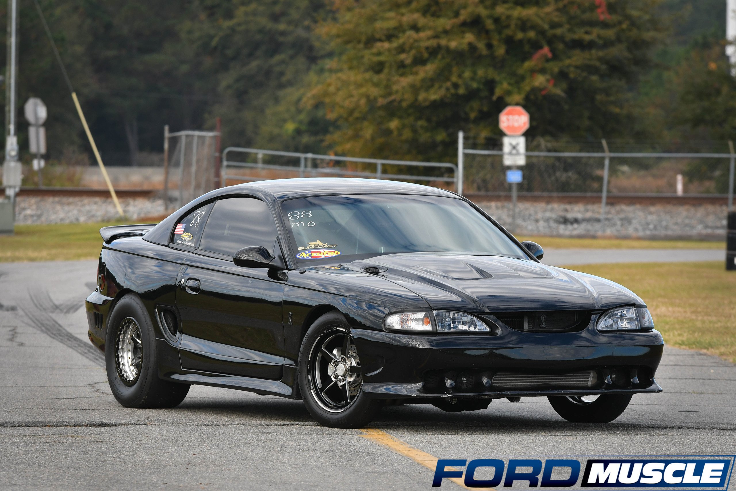 www.fordmuscle.com