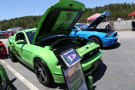 Mustangs-at-the-Mountain-2017-742